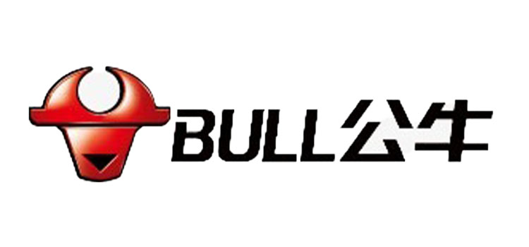 bull
